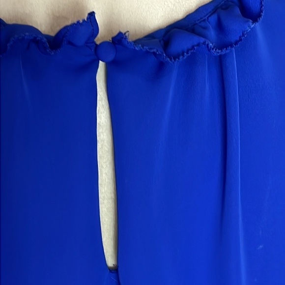 Naked Zebra, Sz M TRENDING SPRING COLOR from MY CLOSET, CAREER LAYERING FEMININE - Picture 5 of 6